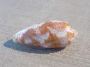 DSCN3405.webp