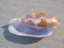 DSCN3406.webp