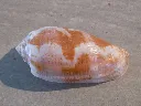 DSCN3407.webp