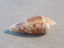 DSCN3409.webp