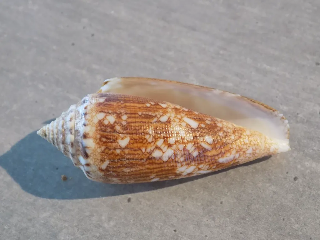 DSCN3410.webp
