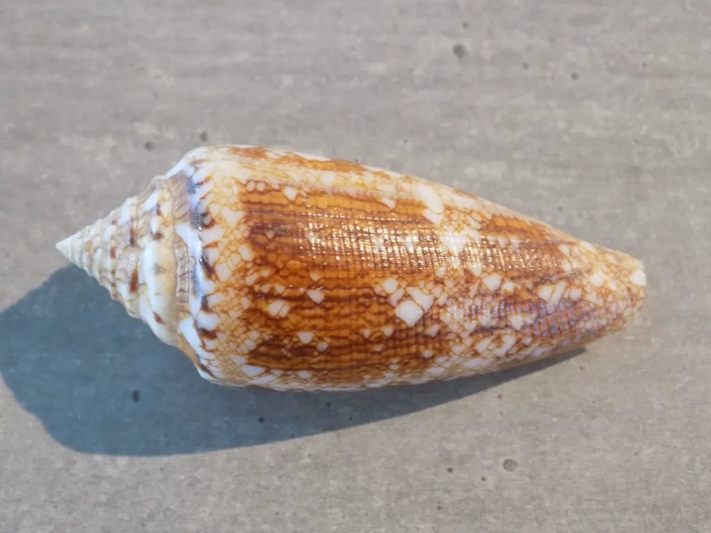 DSCN3411.webp