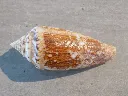 DSCN3411.webp