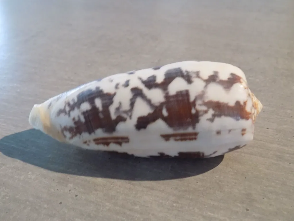 DSCN3432.webp