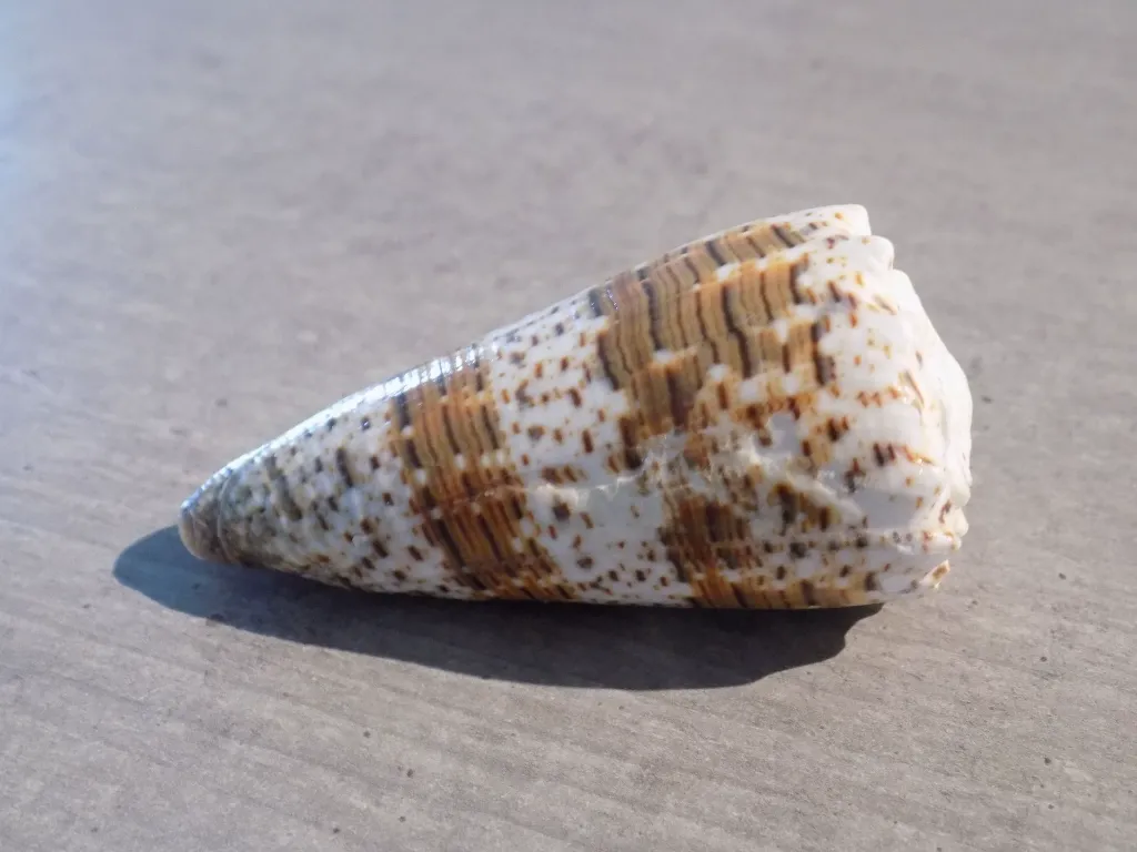 DSCN3450.webp