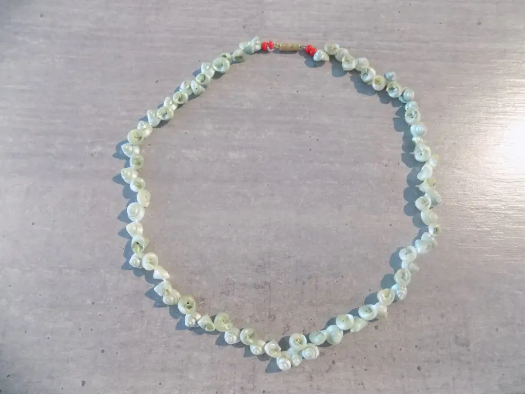 Artisanat - Collier pm ou bracelet double coquillages verts 