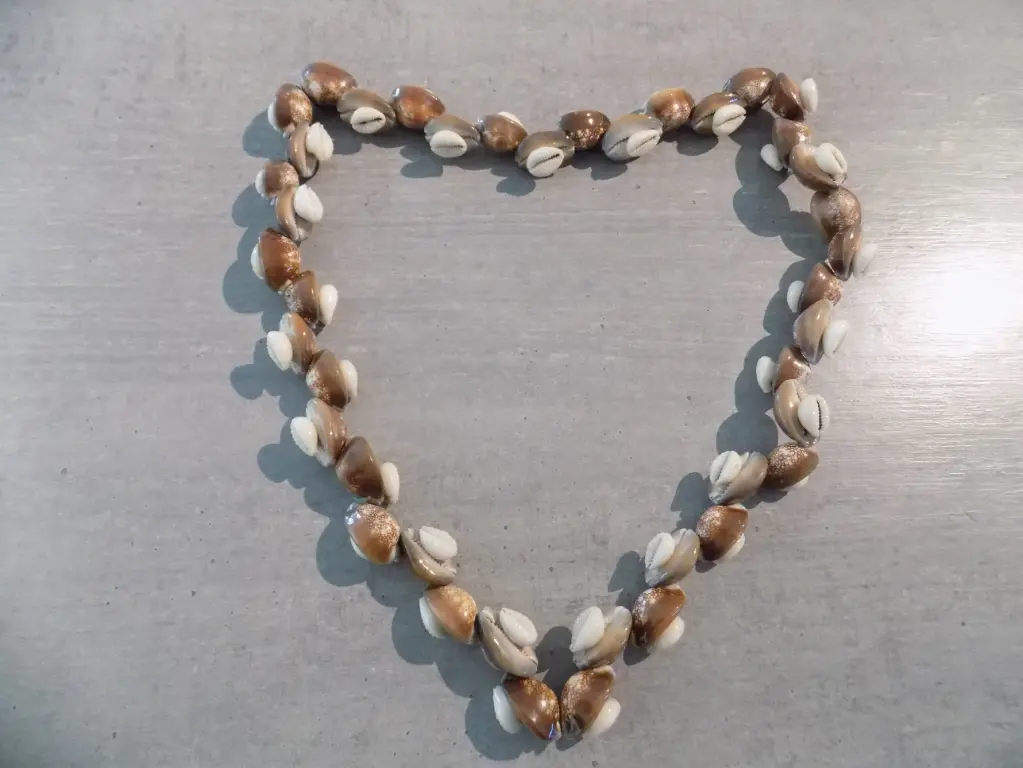 Artisanat - Colliers coquilles cypraea GM