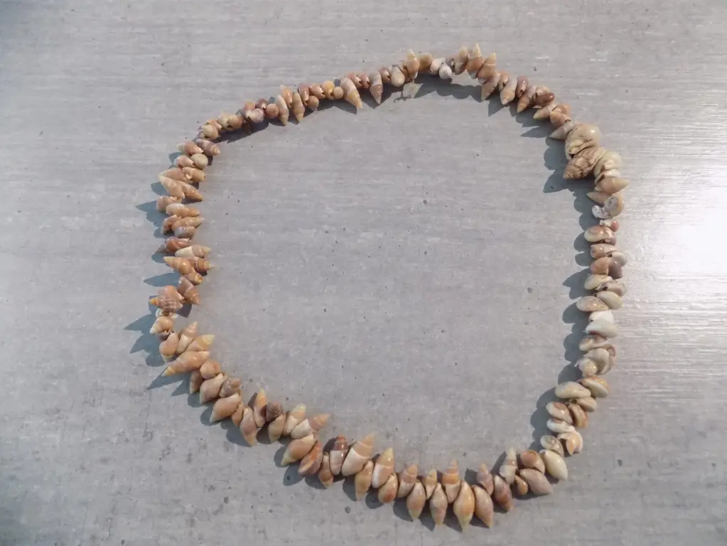 Artisanat - Collier petits coquillages PM