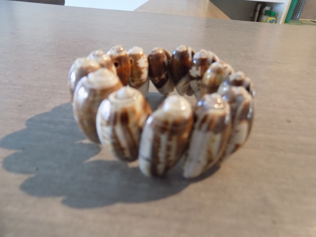 Artisanat - Bracelets coquilles Oliva 