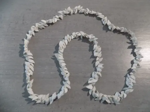 Artisanat - Colliers bivalves blancs